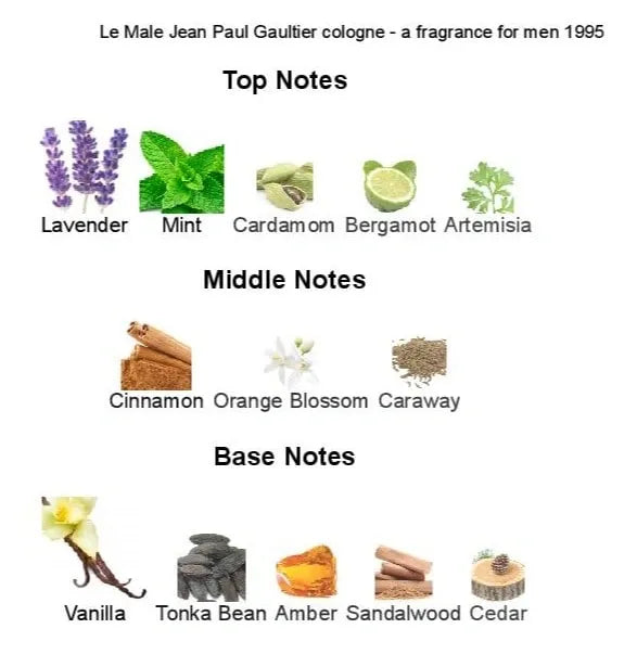 Jean Paul Gaultier Le Male Le Parfum